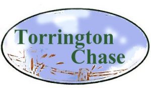 torrinton chase logo orig