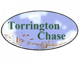 torrinton chase logo orig